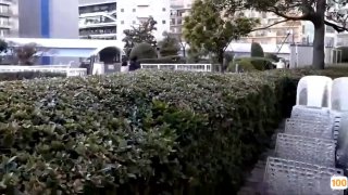 图片欧美情侣_欧美亚洲精品成人视频